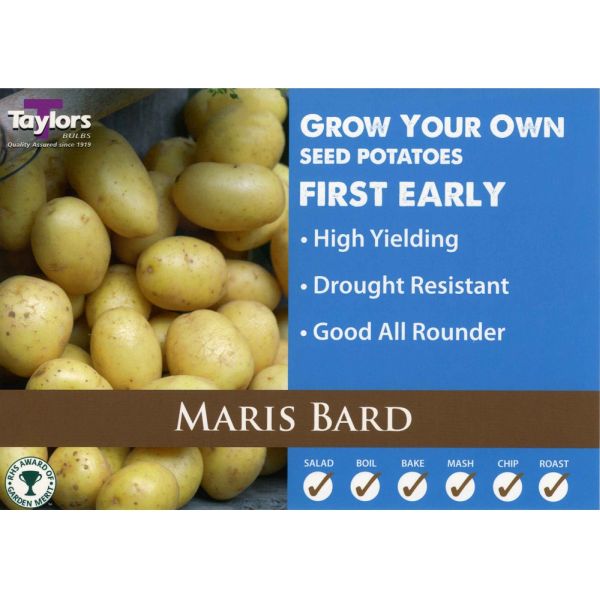Maris Bard Seed Potatoes 2kg Bag